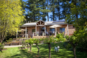 main-ridge-estate-cellar-door